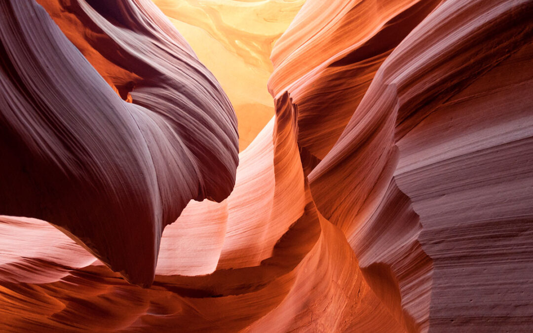 Gallery Two Column Head 2